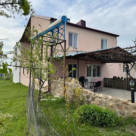 Guesthouse Gareji Udabno Εξωτερικό φωτογραφία