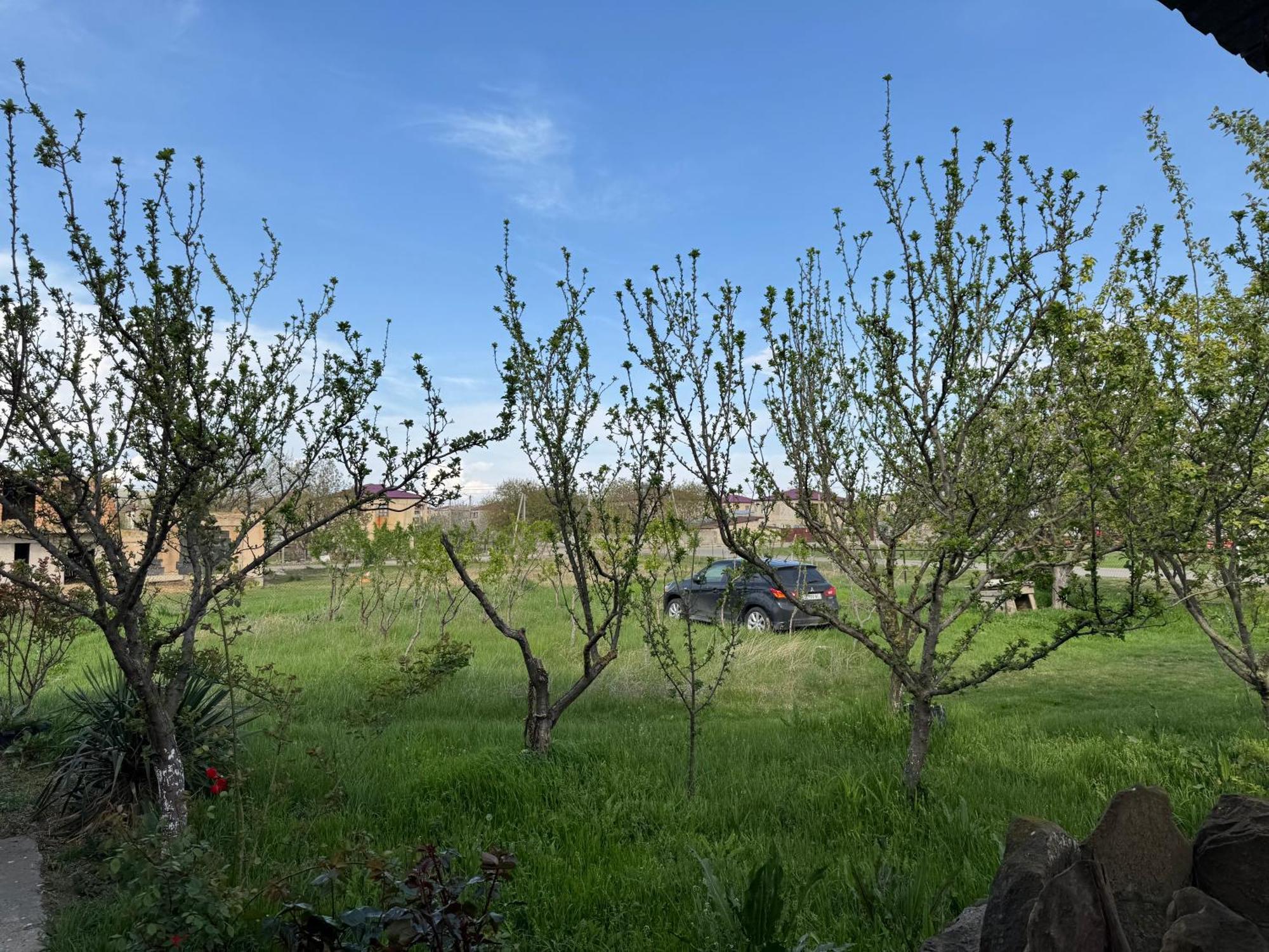 Guesthouse Gareji Udabno Εξωτερικό φωτογραφία